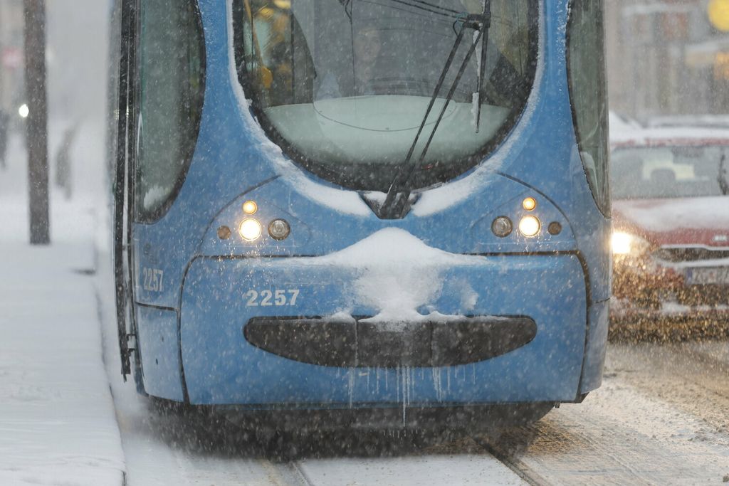 Snijeg u Zagrebu - 41