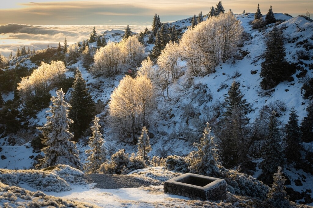 Soriška planina - 1