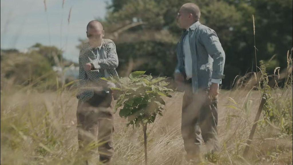 In Magazin: Zanas - 7