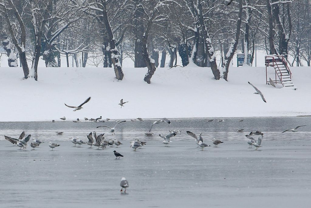 Zaleđeno jezero Jarun - 18