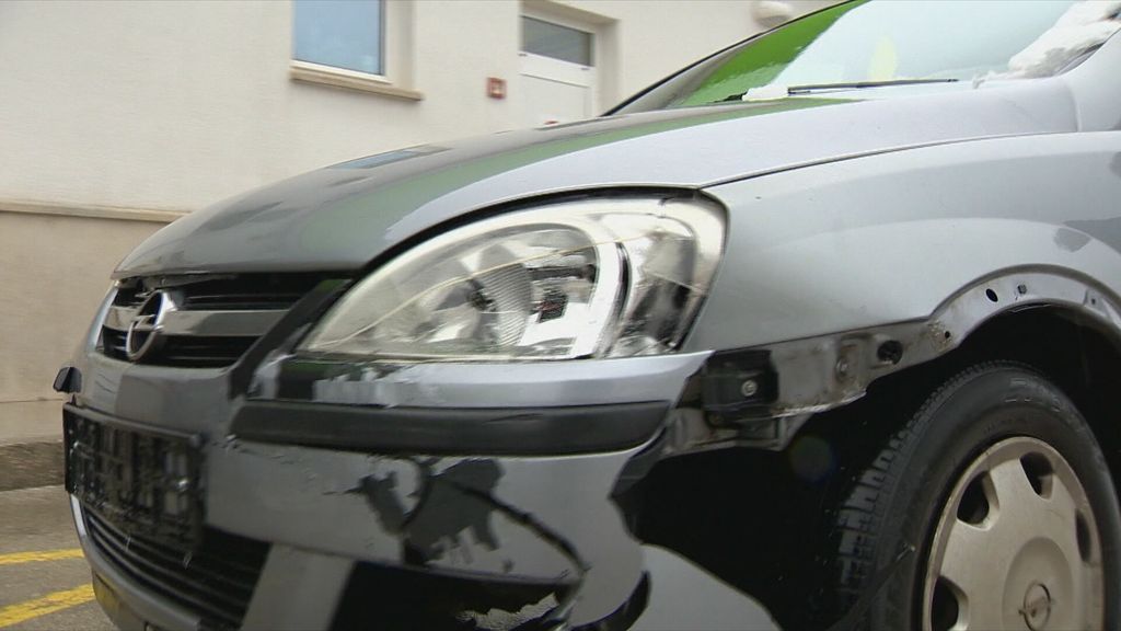 Divljač na cesti - 3