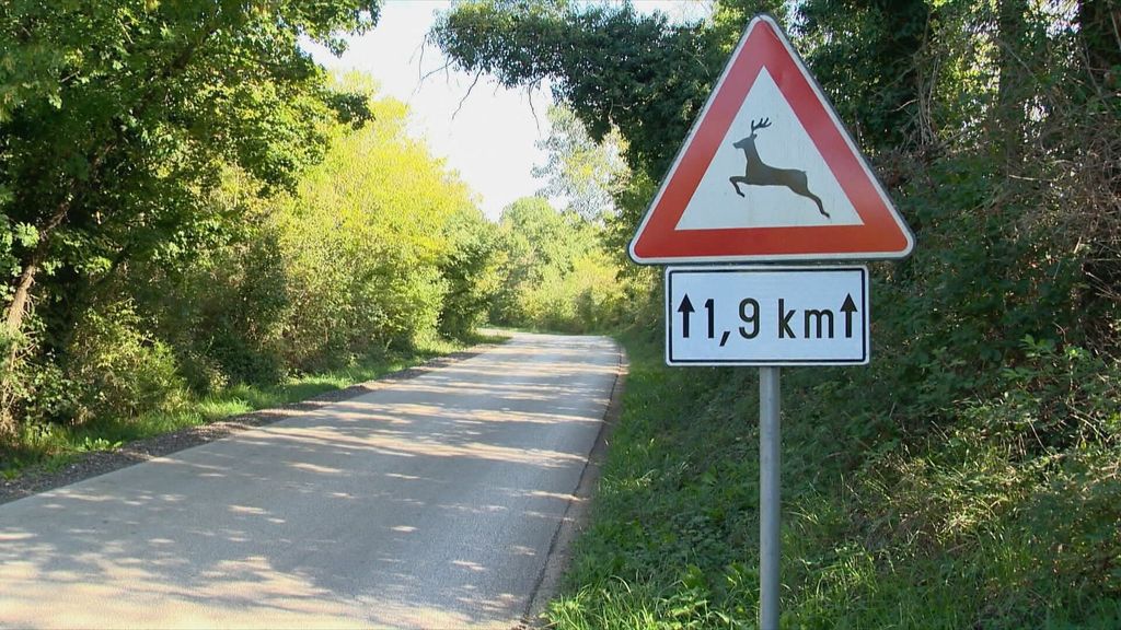 Divljač na cesti - 3