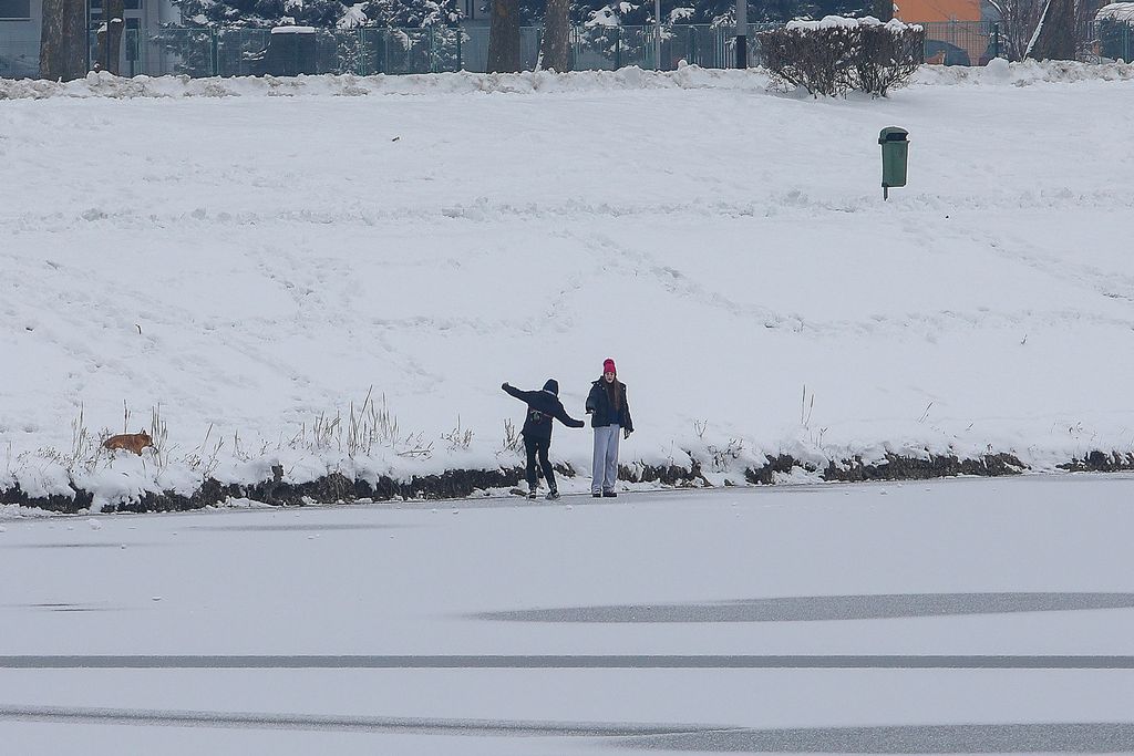Zaleđeno jezero Jarun