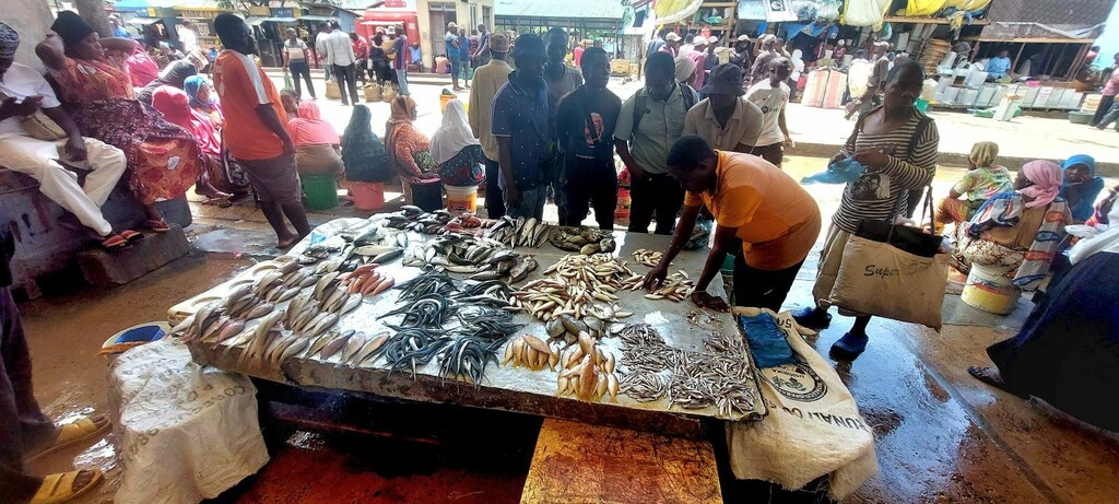 Jasen Boko: Slike iz Afrike - 3