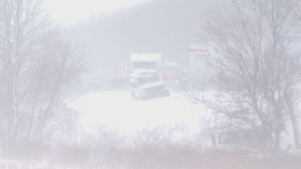 Lančani sudar u Michiganu - 5