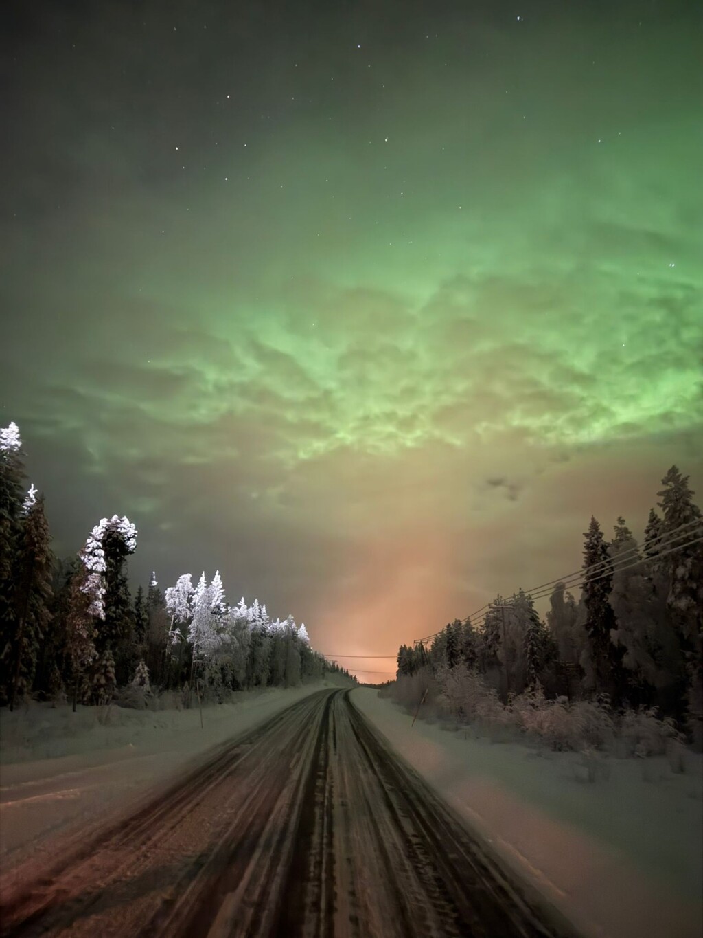 Putovanje u Laponiju - 1