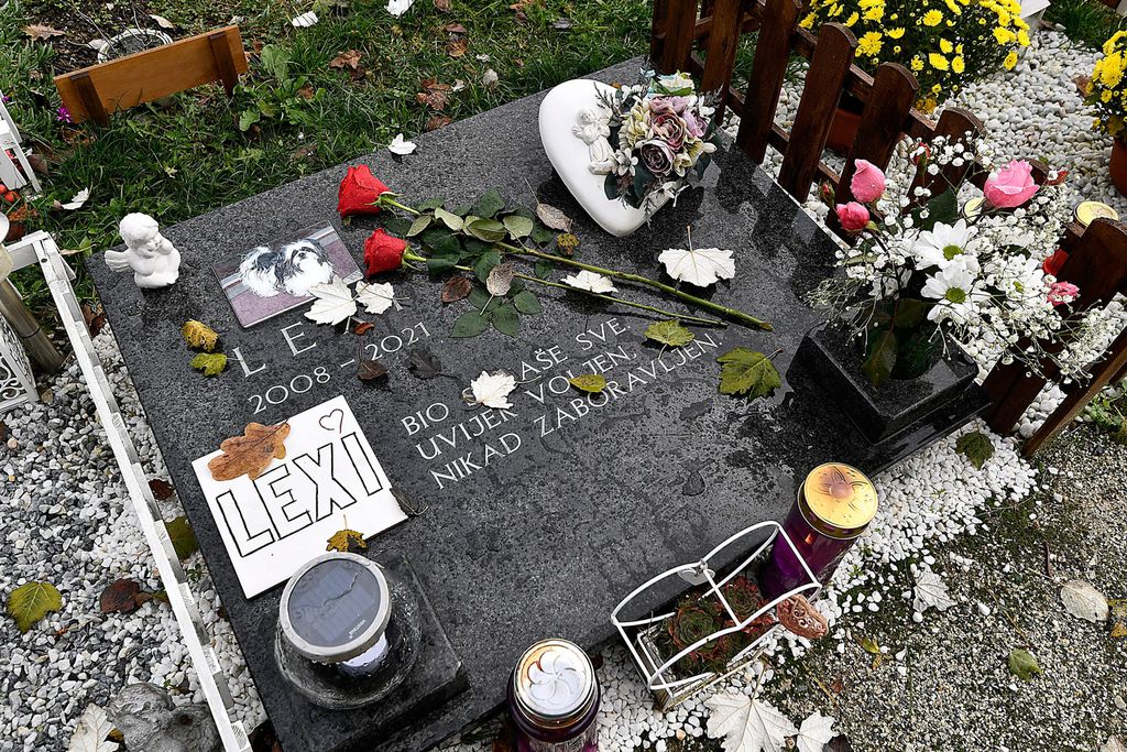 Groblje kućnih ljubimaca - 15