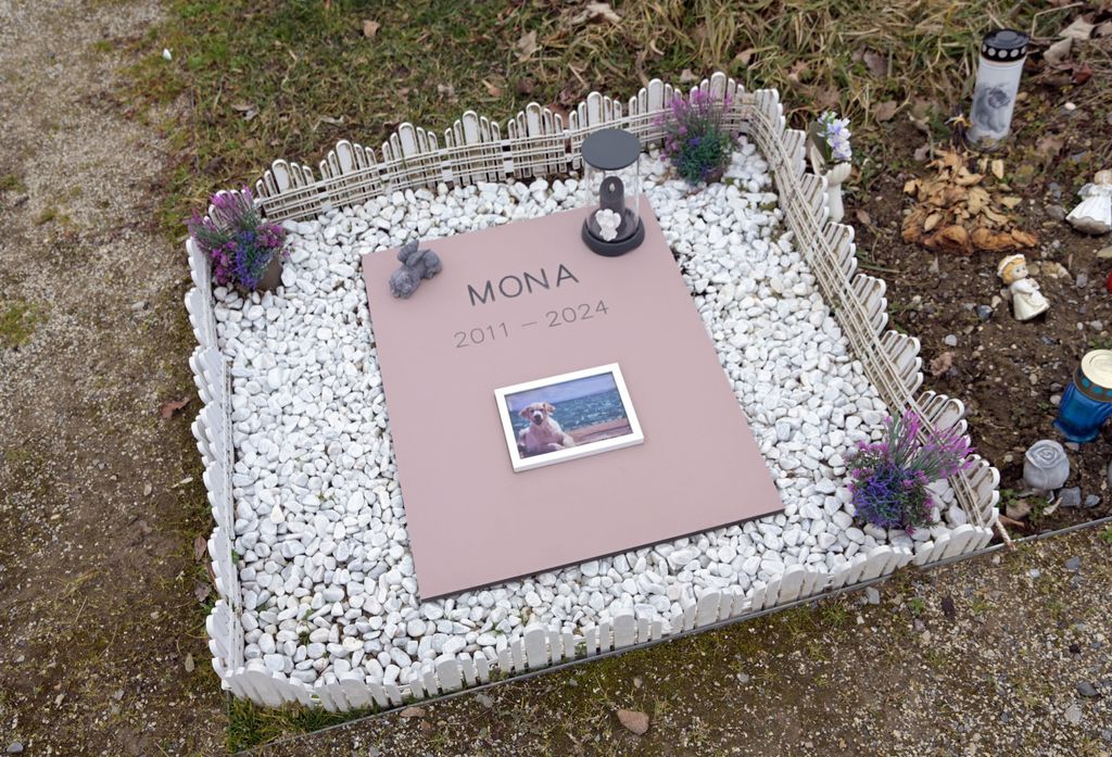 Groblje kućnih ljubimaca - 15