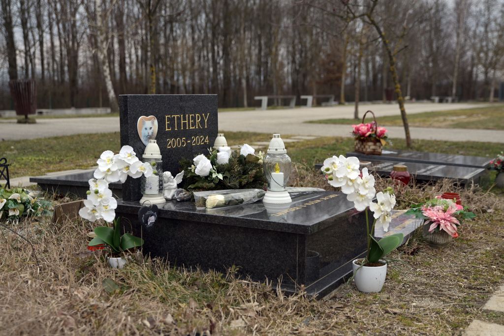 Groblje kućnih ljubimaca - 15