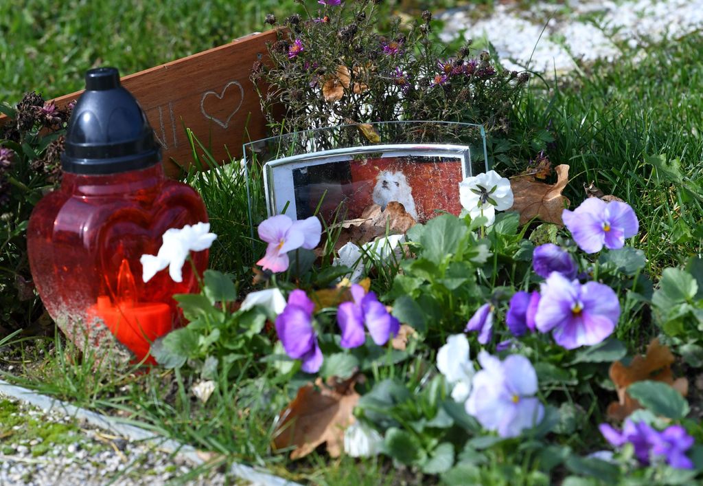 Groblje kućnih ljubimaca - 15