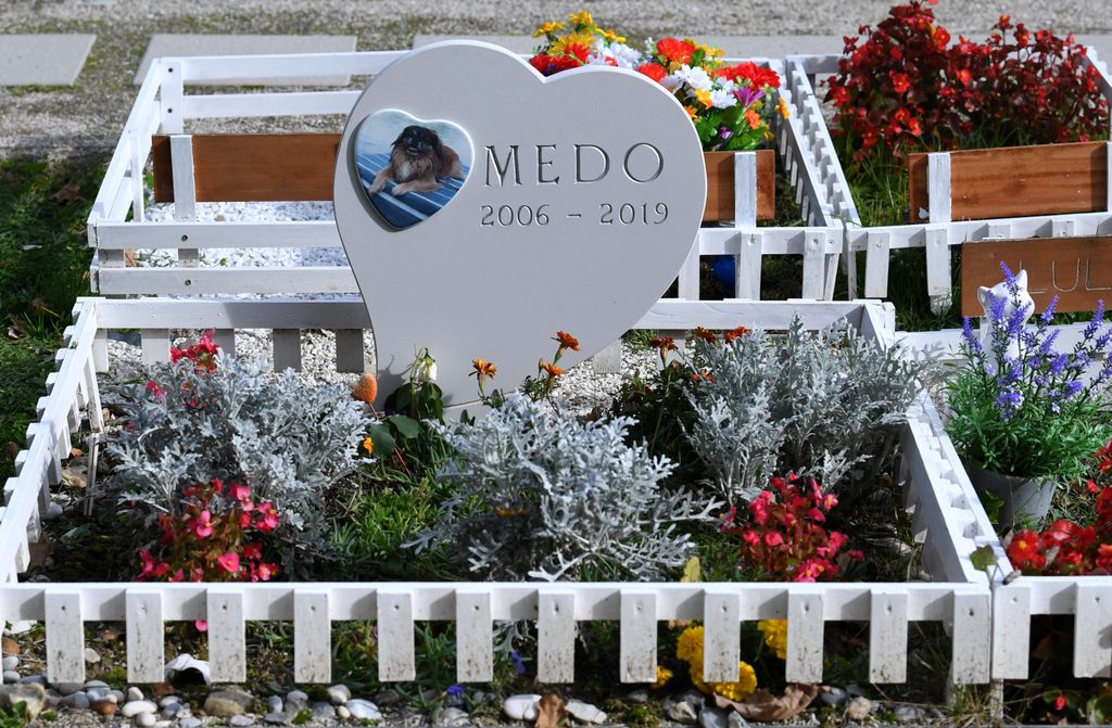 Groblje kućnih ljubimaca - 15