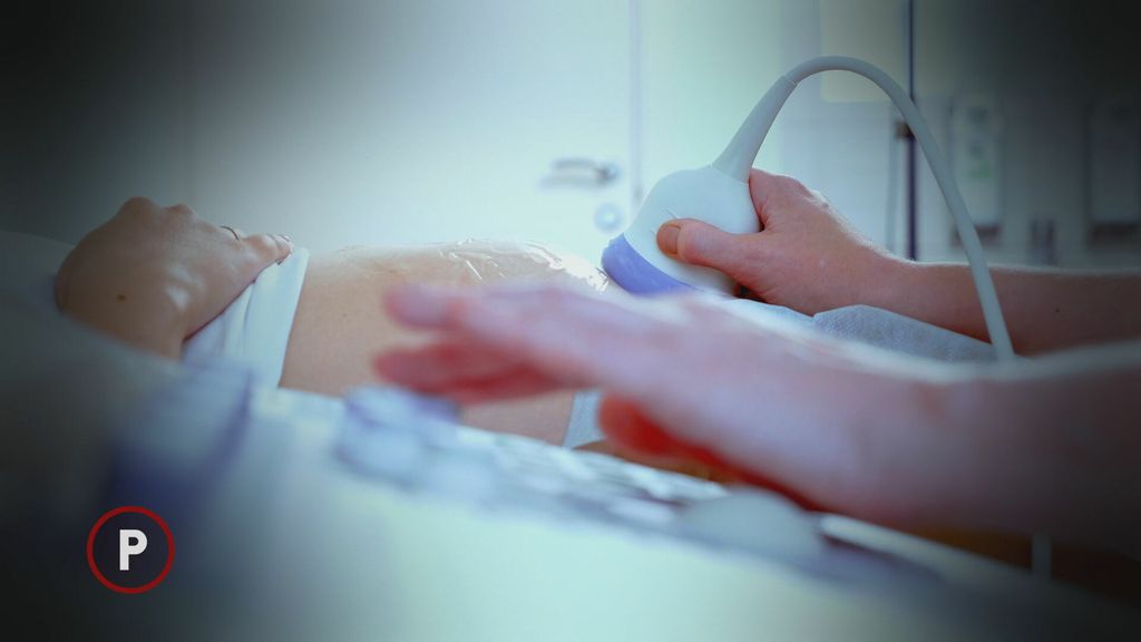 Provjereno: Surogat majčinstvo - 1