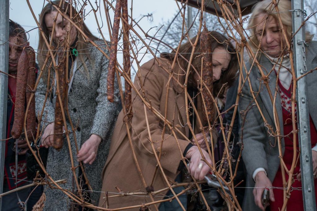 Miroslav Škoro blagoslovio vinograd - 9