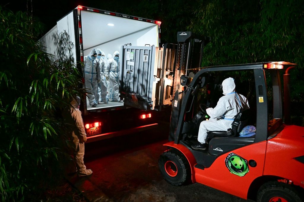 Seljenje pandi iz Japana u Kinu - 2