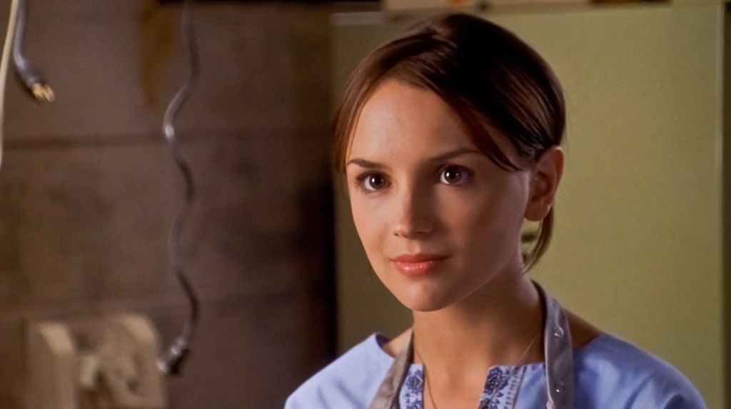 Rachael Leigh Cook - 13