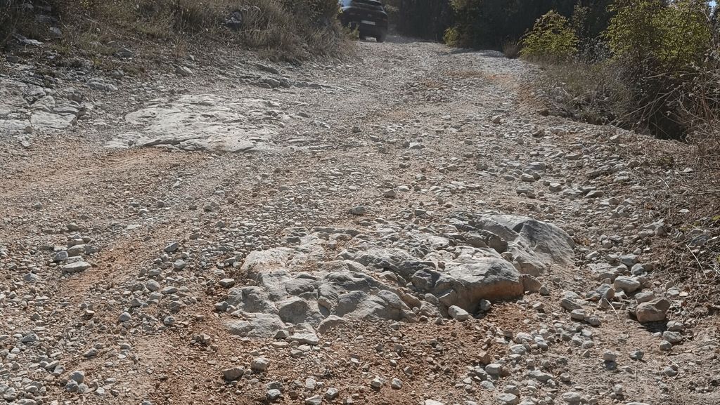 Zavirili smo u maslinik uz Krku s 4500 stabala: Priča o obitelji, ljubavi i maslinovom ulju