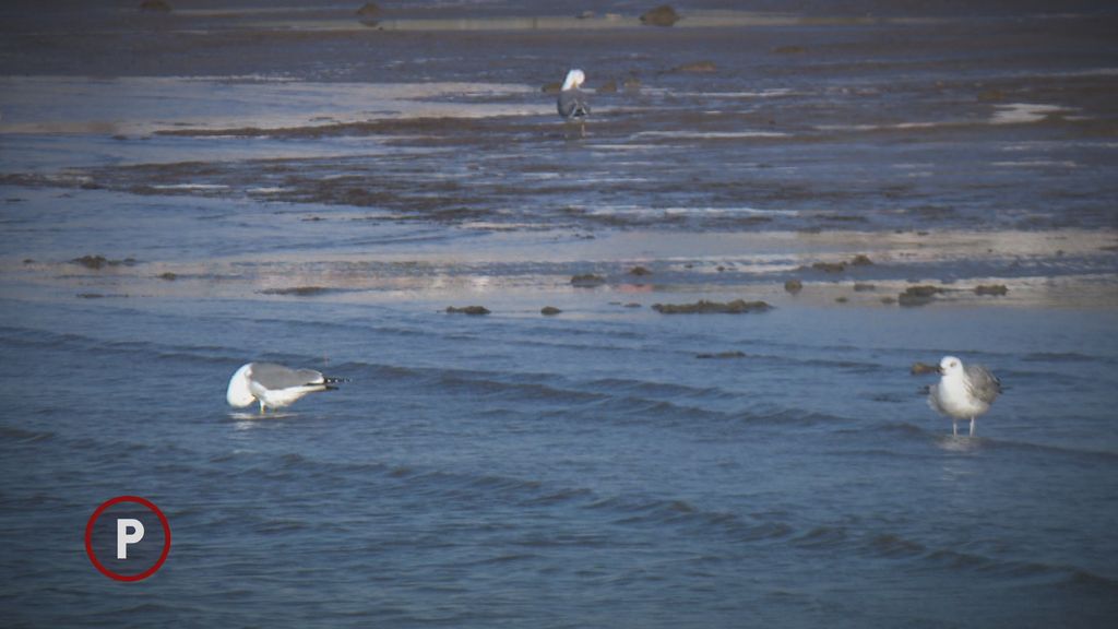 Provjereno: Gradnja luka - 7