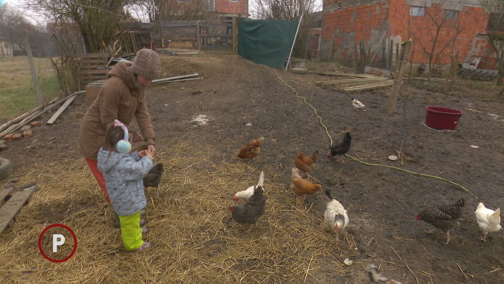 Provjereno: Obitelj Hrast - 1