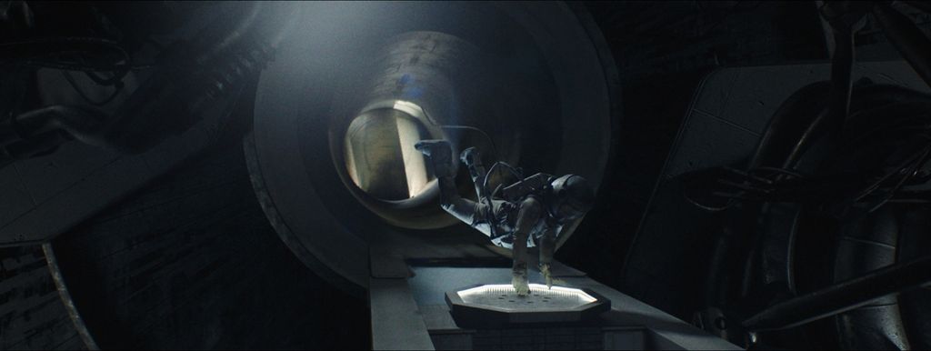 Foto: Zimo/Anja Mergeduš/Lazar Bodroža