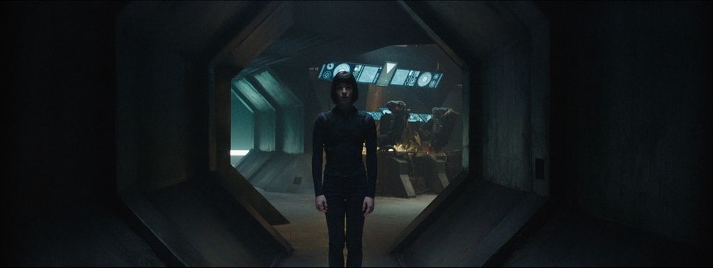 Foto: Zimo/Anja Mergeduš/Lazar Bodroža