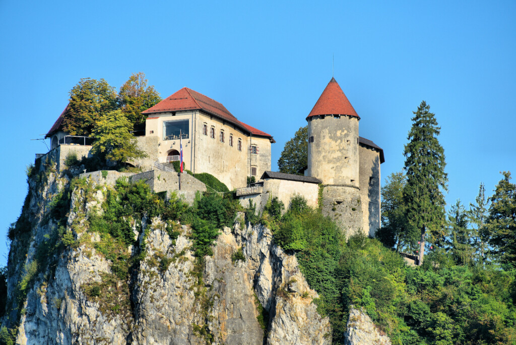 Bledski dvorac