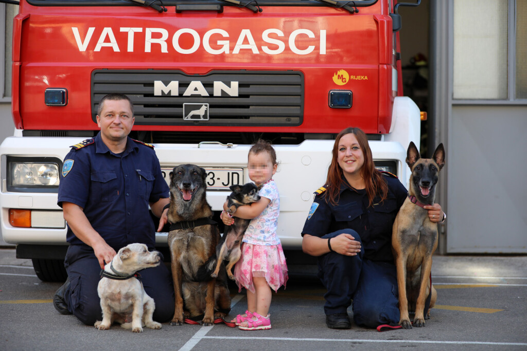Vatrogasni pas, belgijska ovčarka Rain nakon 12 godina službe otišla je u mirovinu - 1