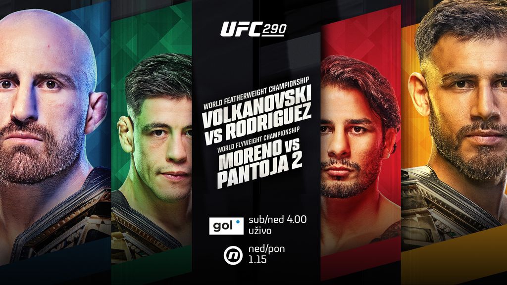 UFC 290