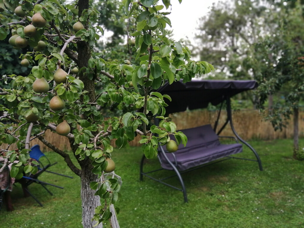 Dvorište obiteljske kuće u Ludbregu uređeno s puno duše