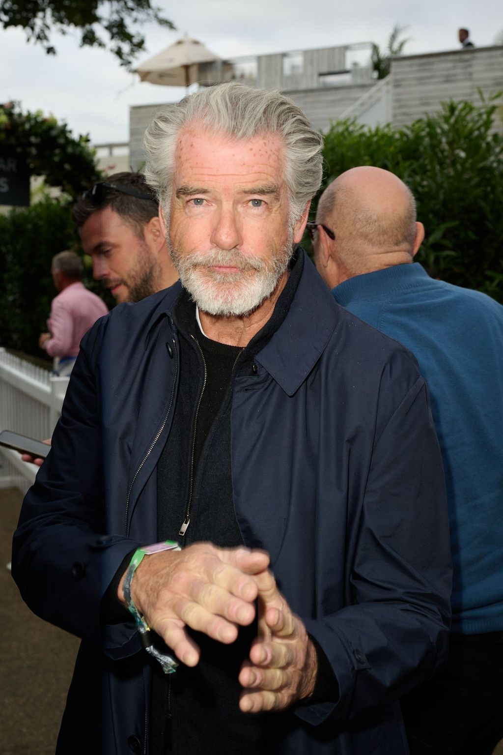 Pierce Brosnan - 4