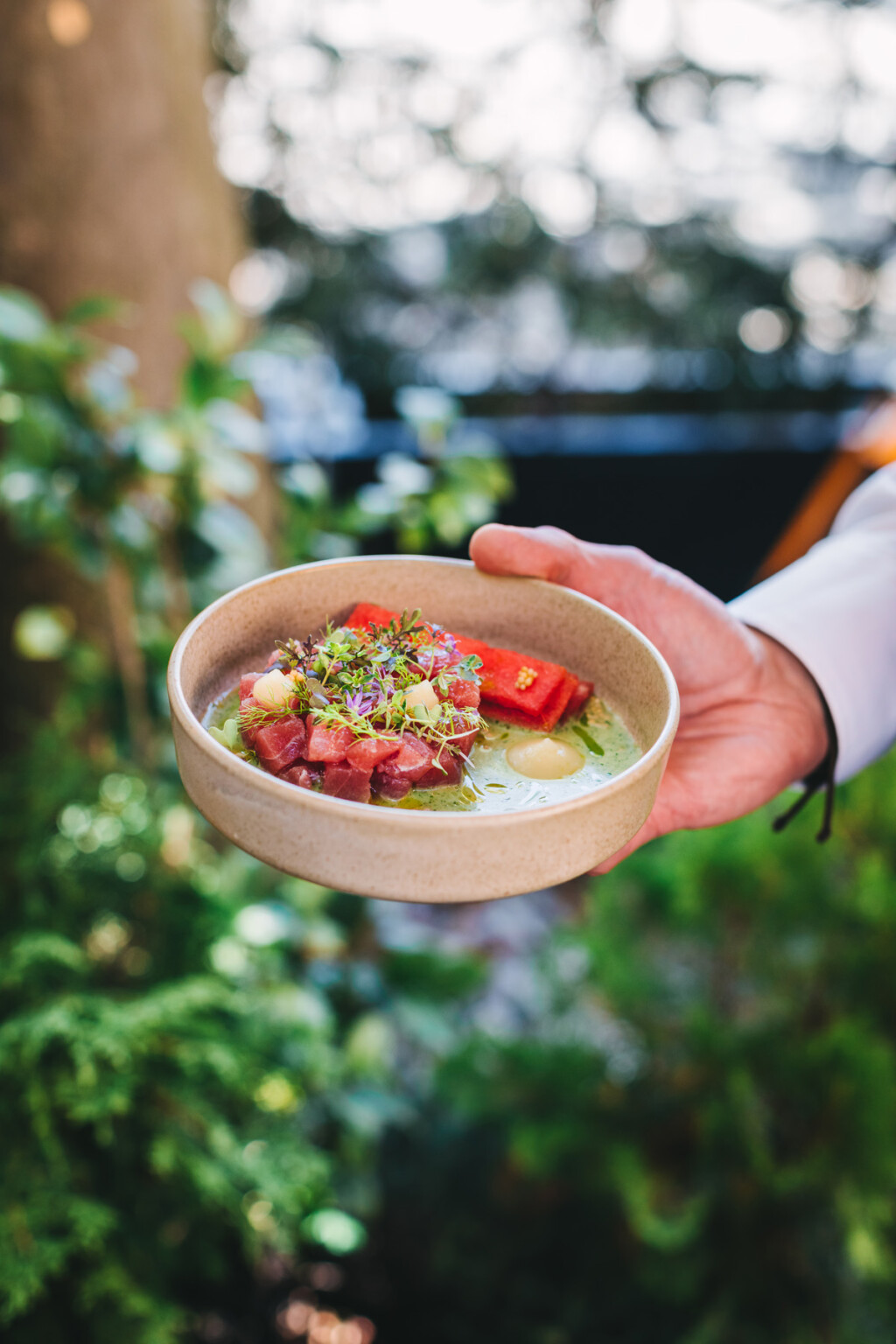 Usoljena tuna, carpaccio od lubenice, hladna juha od krastavaca i wasabija, korijandar