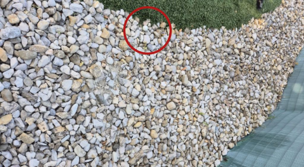 Golfer i slika nestale loptice