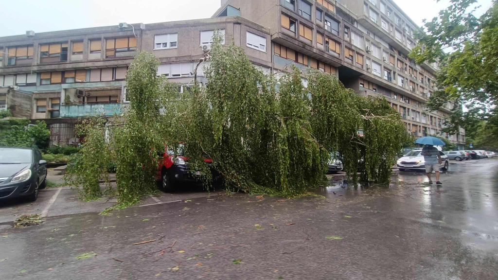 Nevrijeme rušilo stabla u Zagrebu - 8
