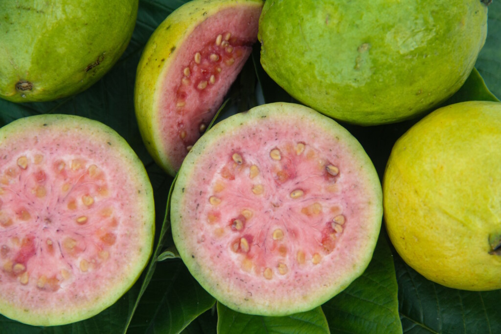 Tropsko voće guava