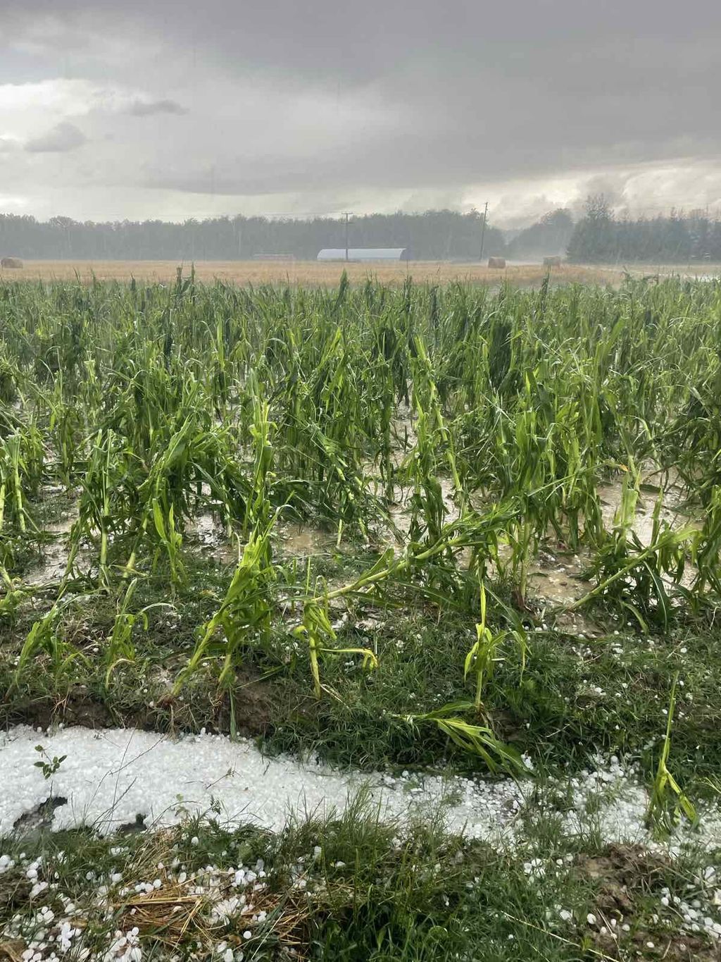 Nevrijeme pogodilo Donju Motičinu