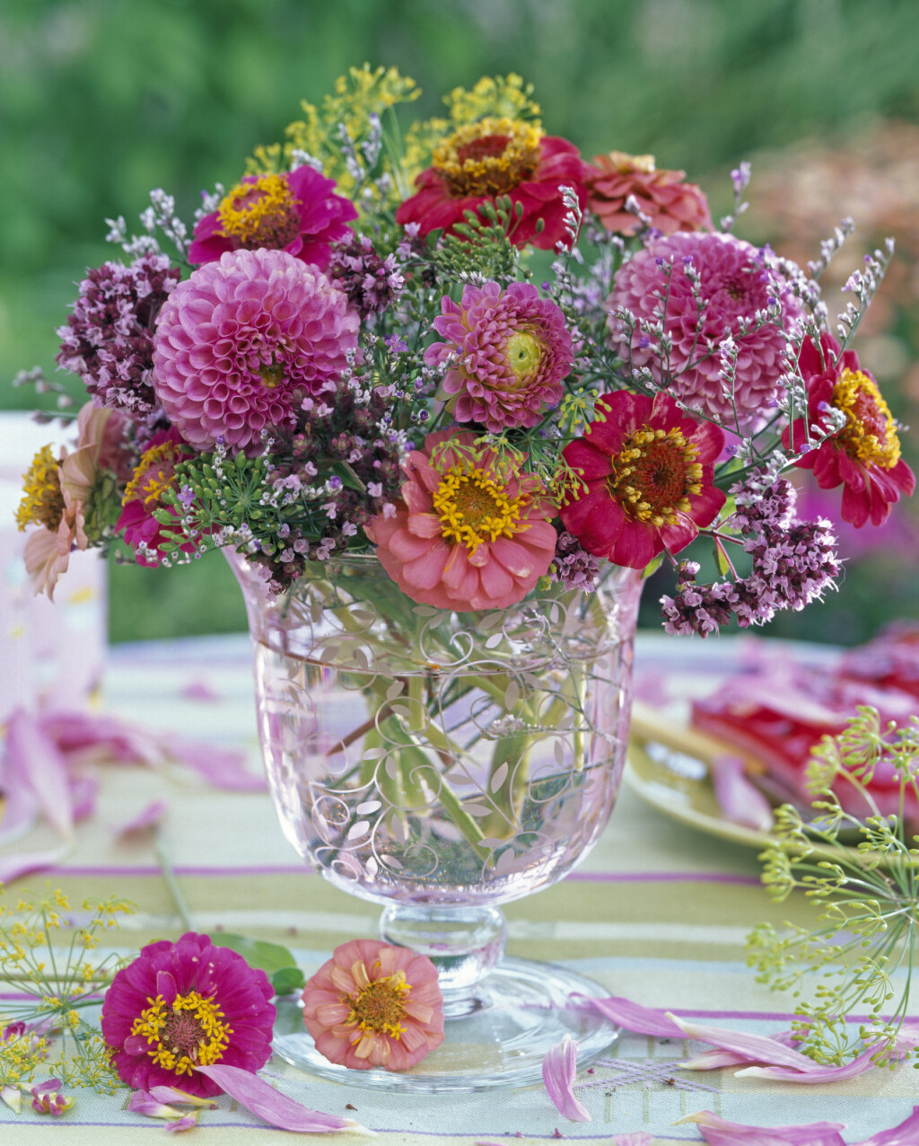 Cvijet cinija jedan je od najljepših i najzahvalnijih cvjetova za vrt - 4