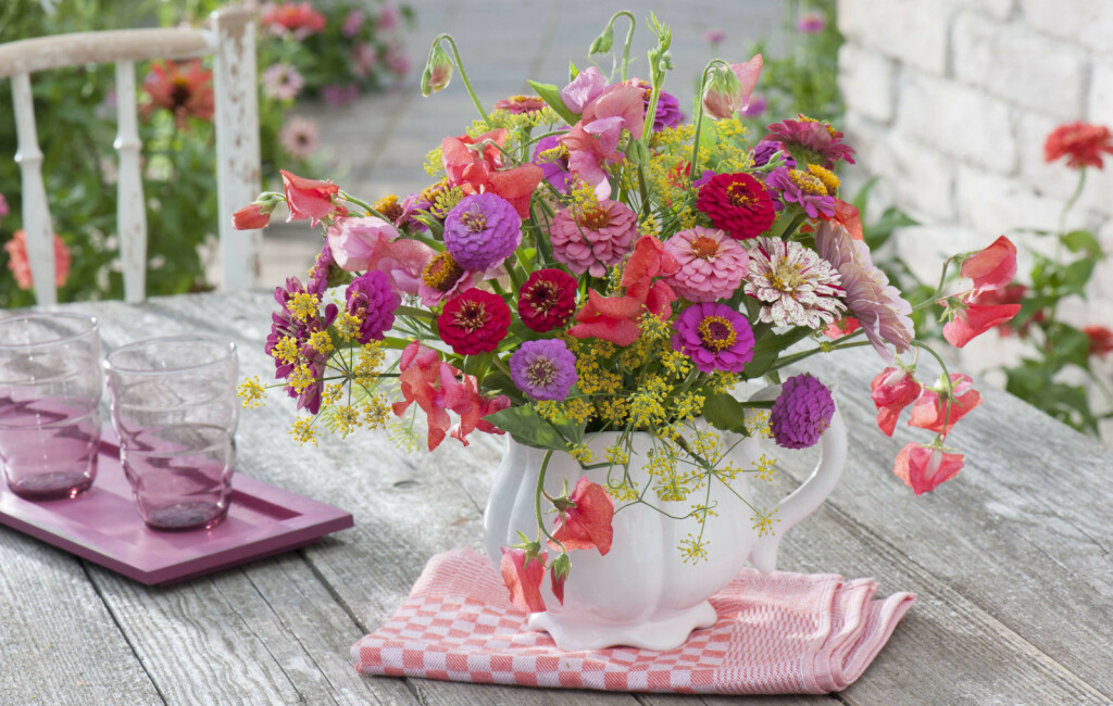 Cvijet cinija jedan je od najljepših i najzahvalnijih cvjetova za vrt - 7