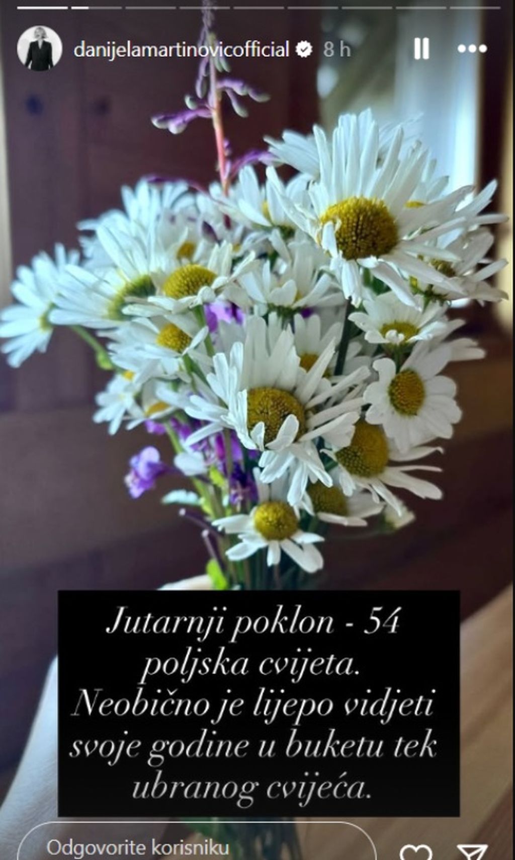 Danijela Martinović na Instagramu