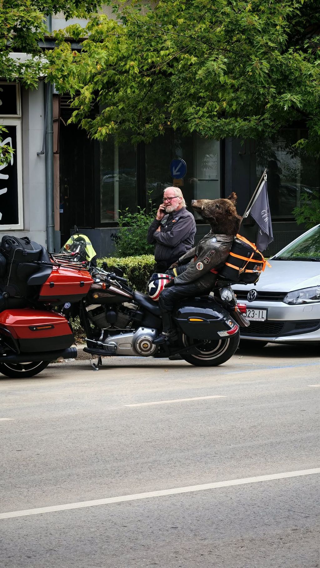 Njemački bajker na motoru vozi vepra