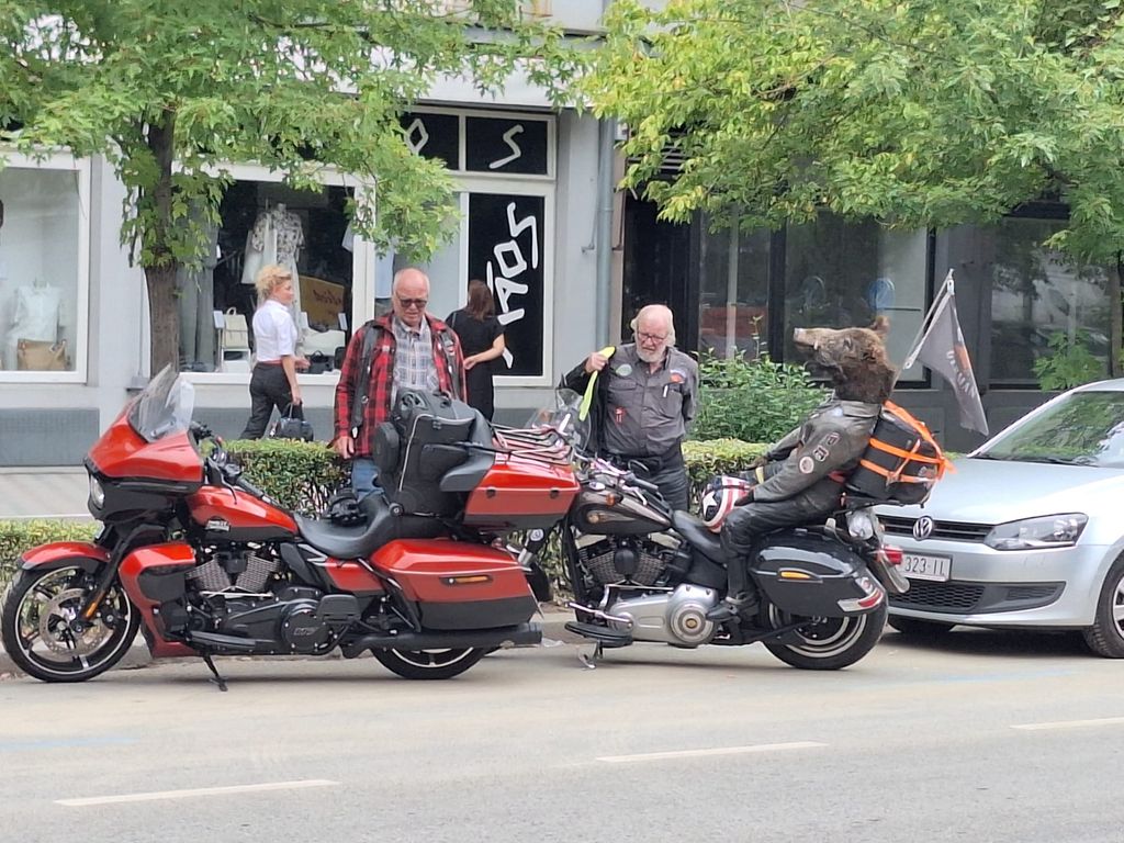 Njemački bajker na motoru vozi vepra