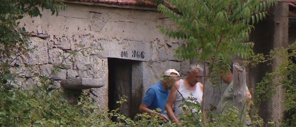 Istraga oko uginulih krava - 1