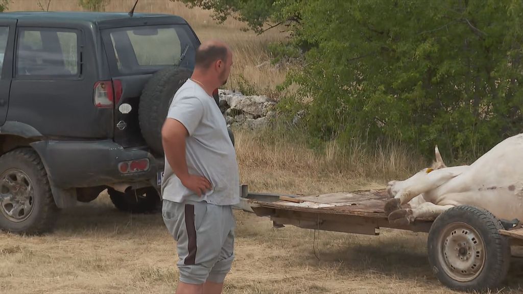 Protestna akcija stočara iz Vrlike - 4