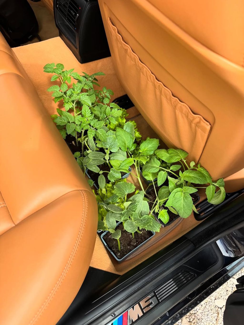 Novi hobi Mate Rimca - 2