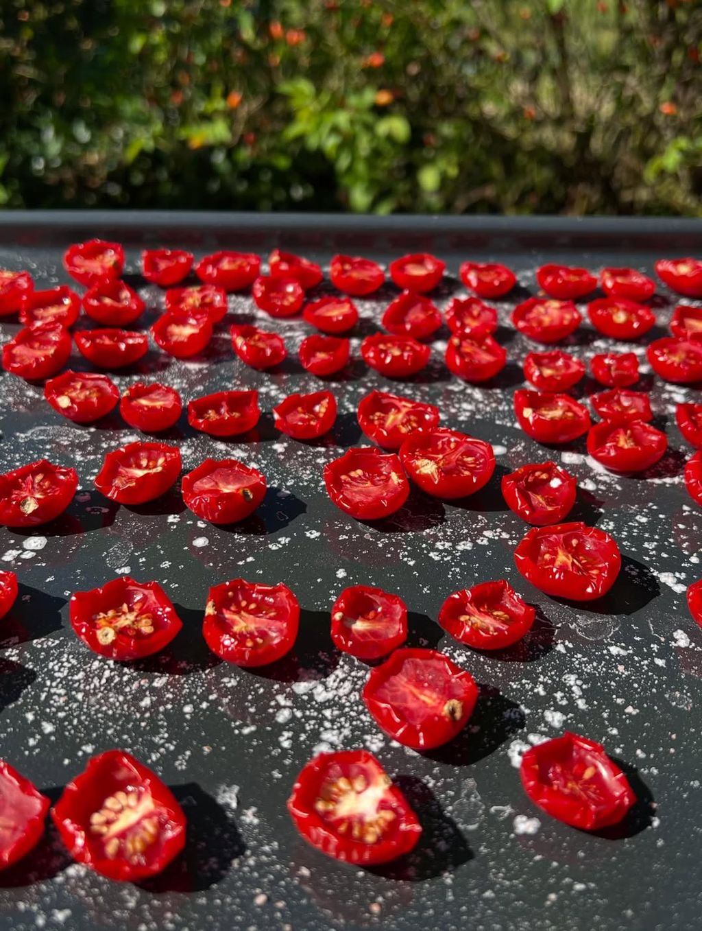 Novi hobi Mate Rimca - 5