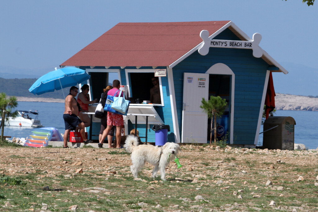 Dog friendly plaža Podvorska u Crikvenici - 3