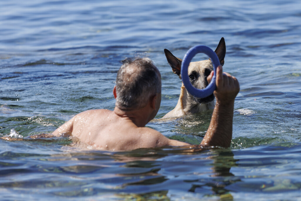 Dog friendly plaža na Kantridi u Rijeci
