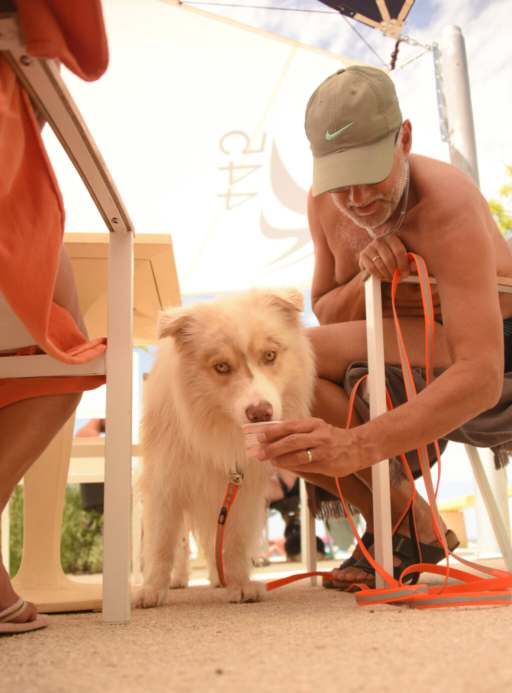 Na pulskoj plaži Hidrobaza nalazi se i beach bar za pse Wau