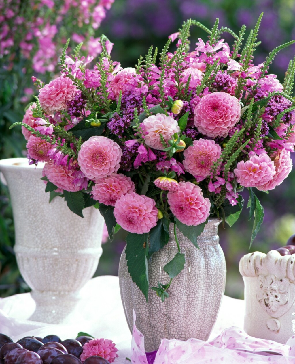 Dalija je jedan od najljepših cvjetova na svijetu