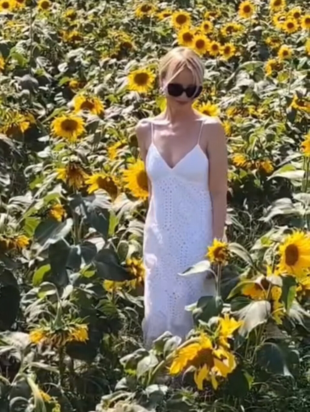 Danijela Martinović na svom Instagramu objavila je video u polju suncokreta