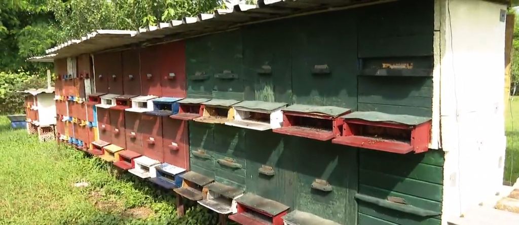 Slavonija, ilustracija