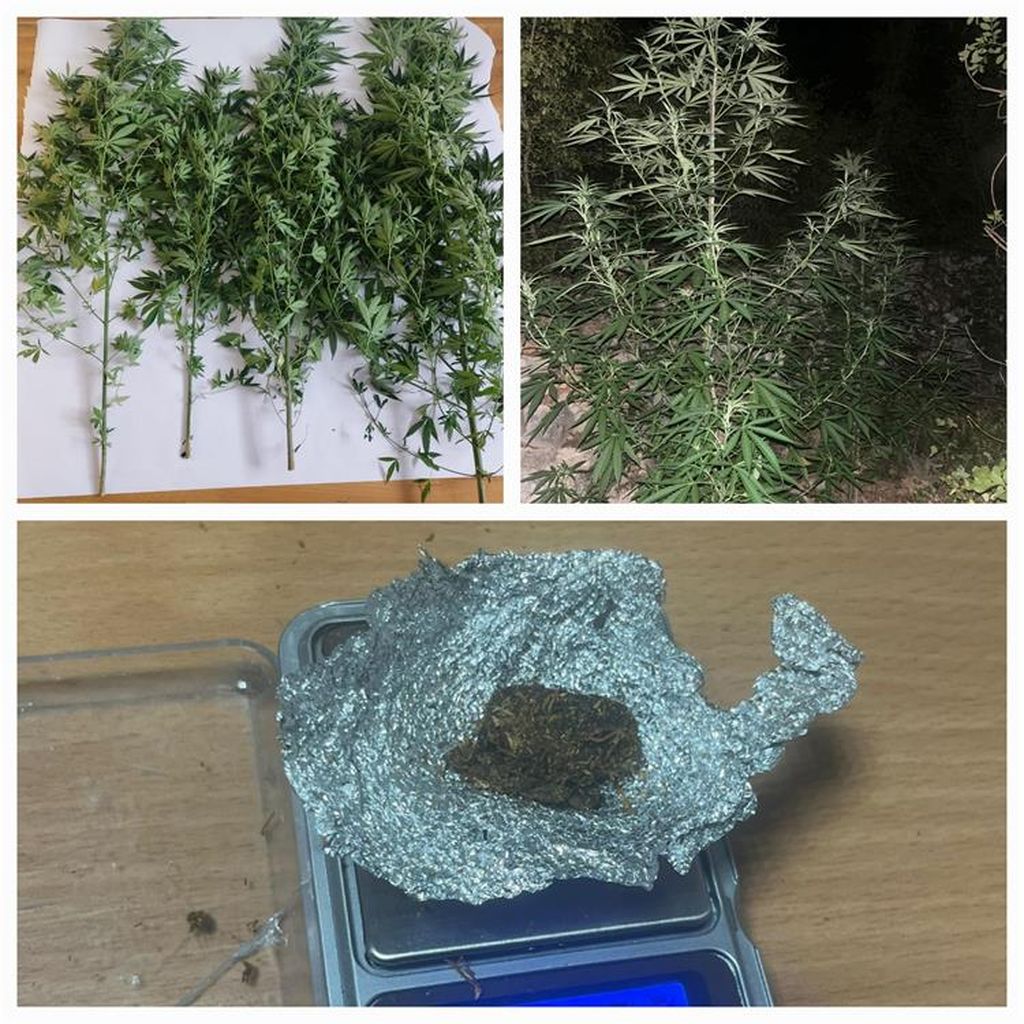 Zapljene droge u Splitsko-dalmatinskoj županiji - 1